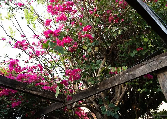 Hotel Punta Descartes